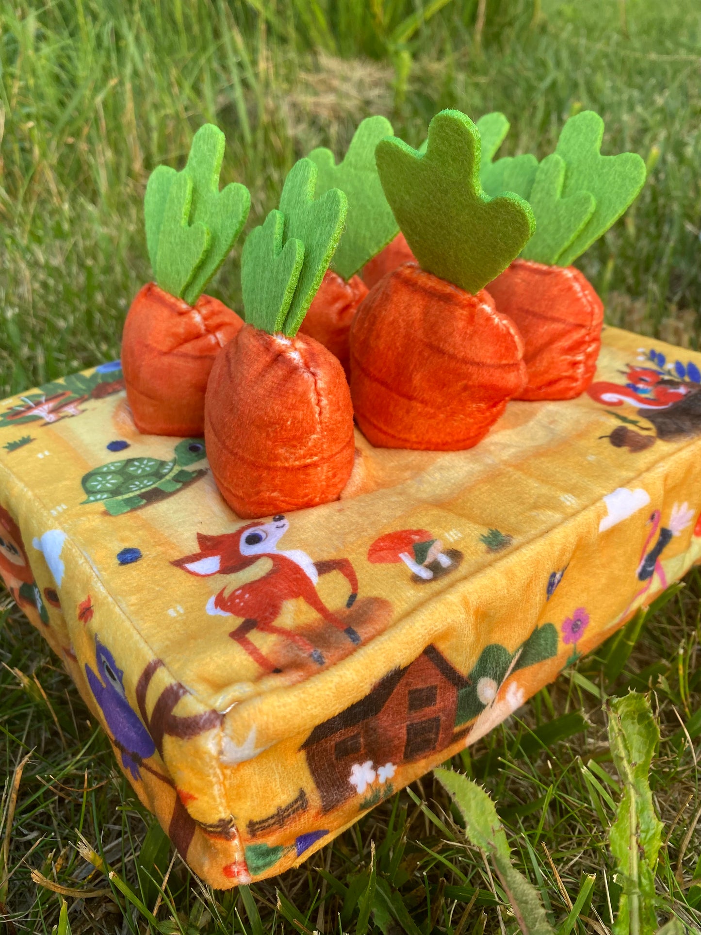 Boîte de fouille carotte - jouet d’enrichissement