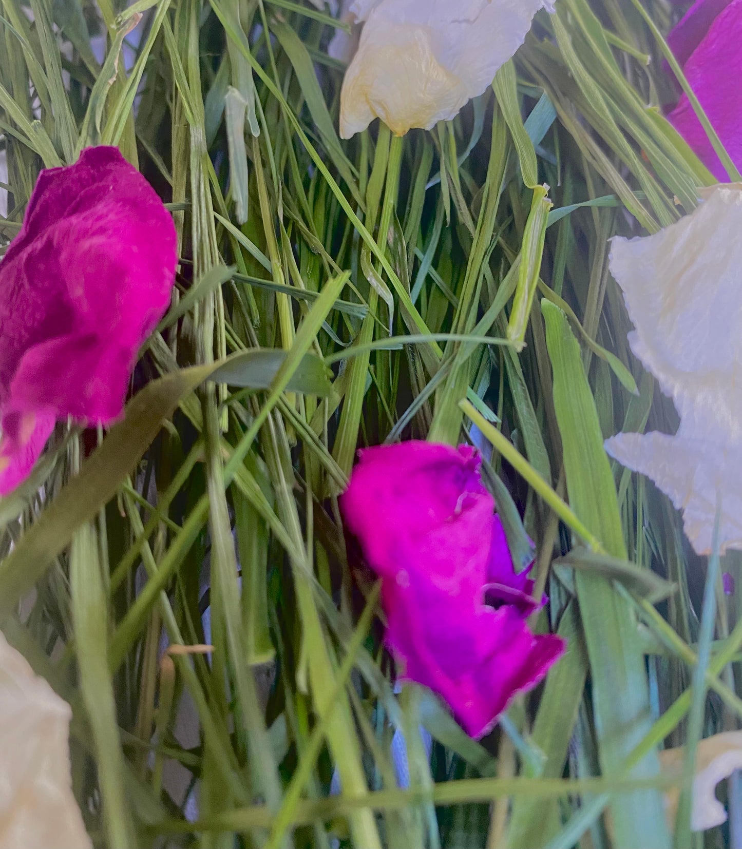 Luxurious forage mix (rose petals + fresh grass)