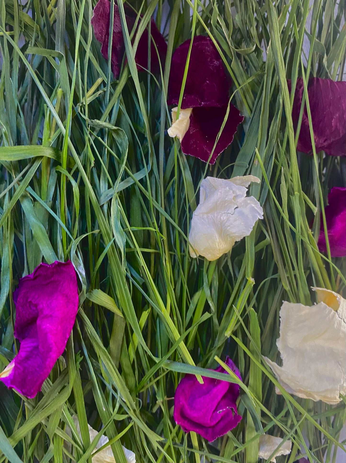 Luxurious forage mix (rose petals + fresh grass)