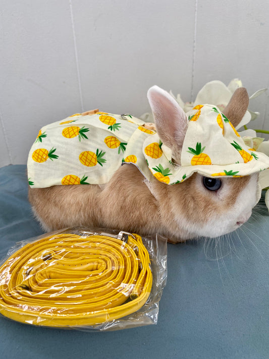Harnais pour lapin avec motif d’ananas 🍍