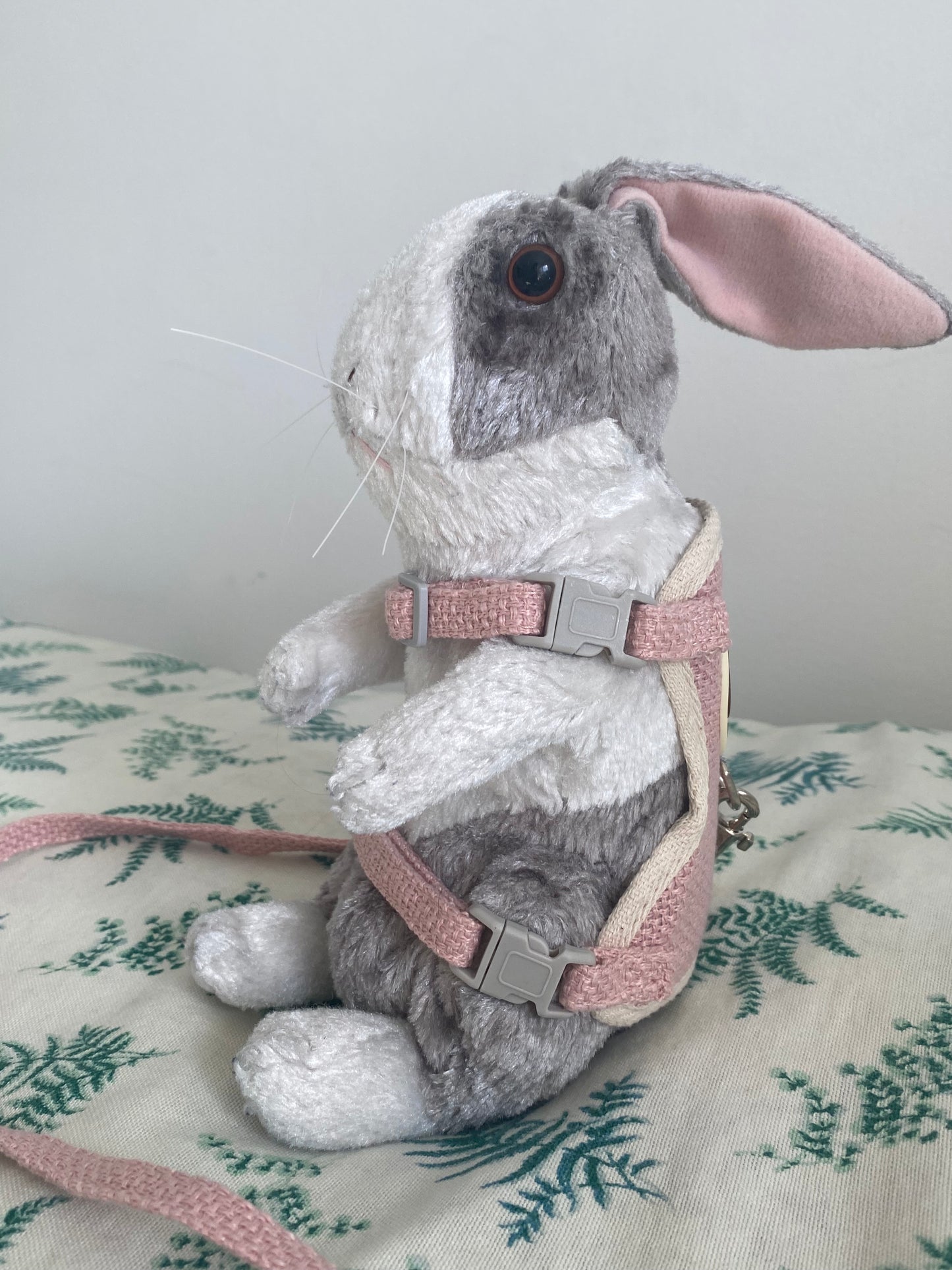 Rabbit harness