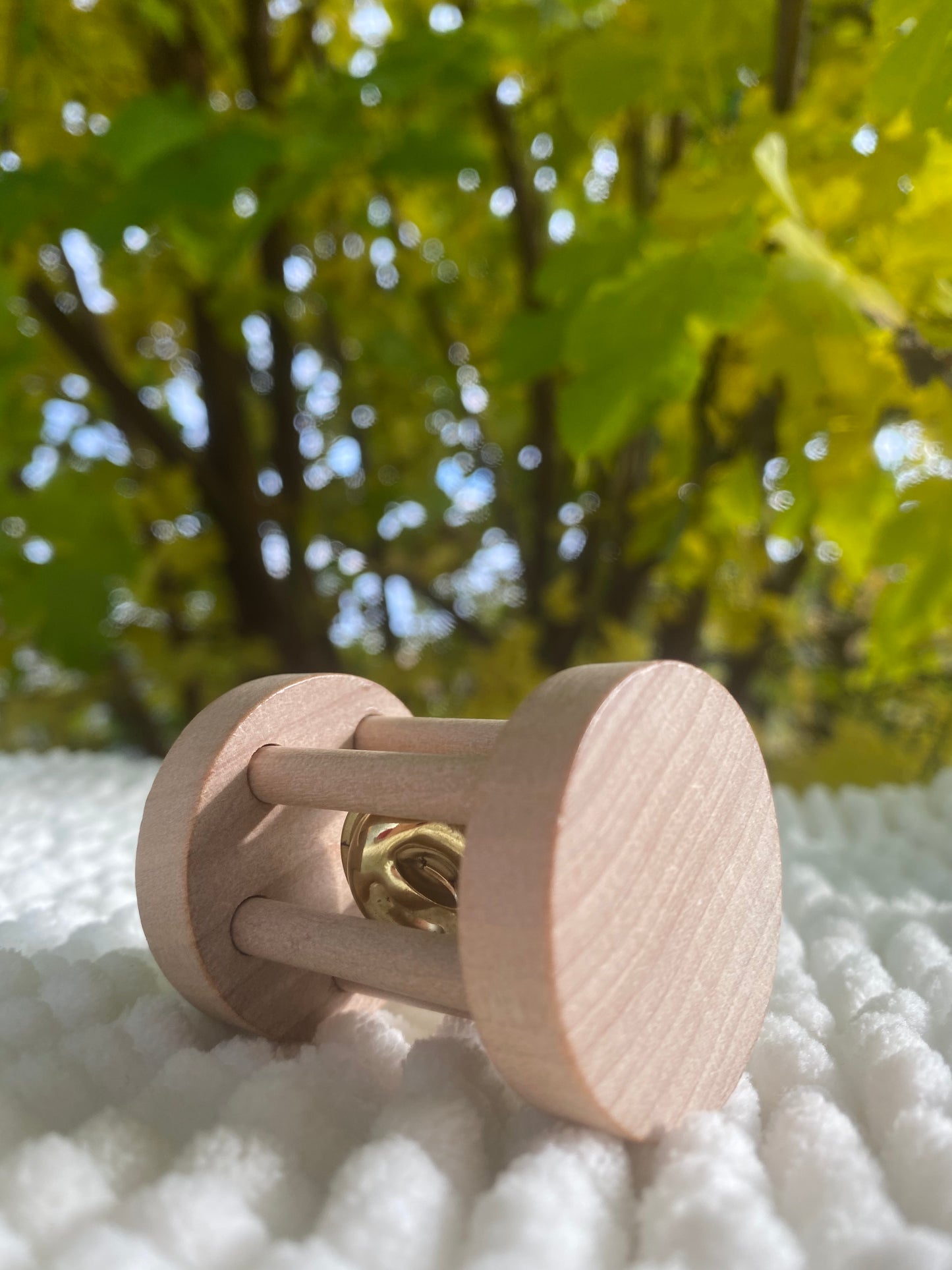 Wheel with bell (toy)