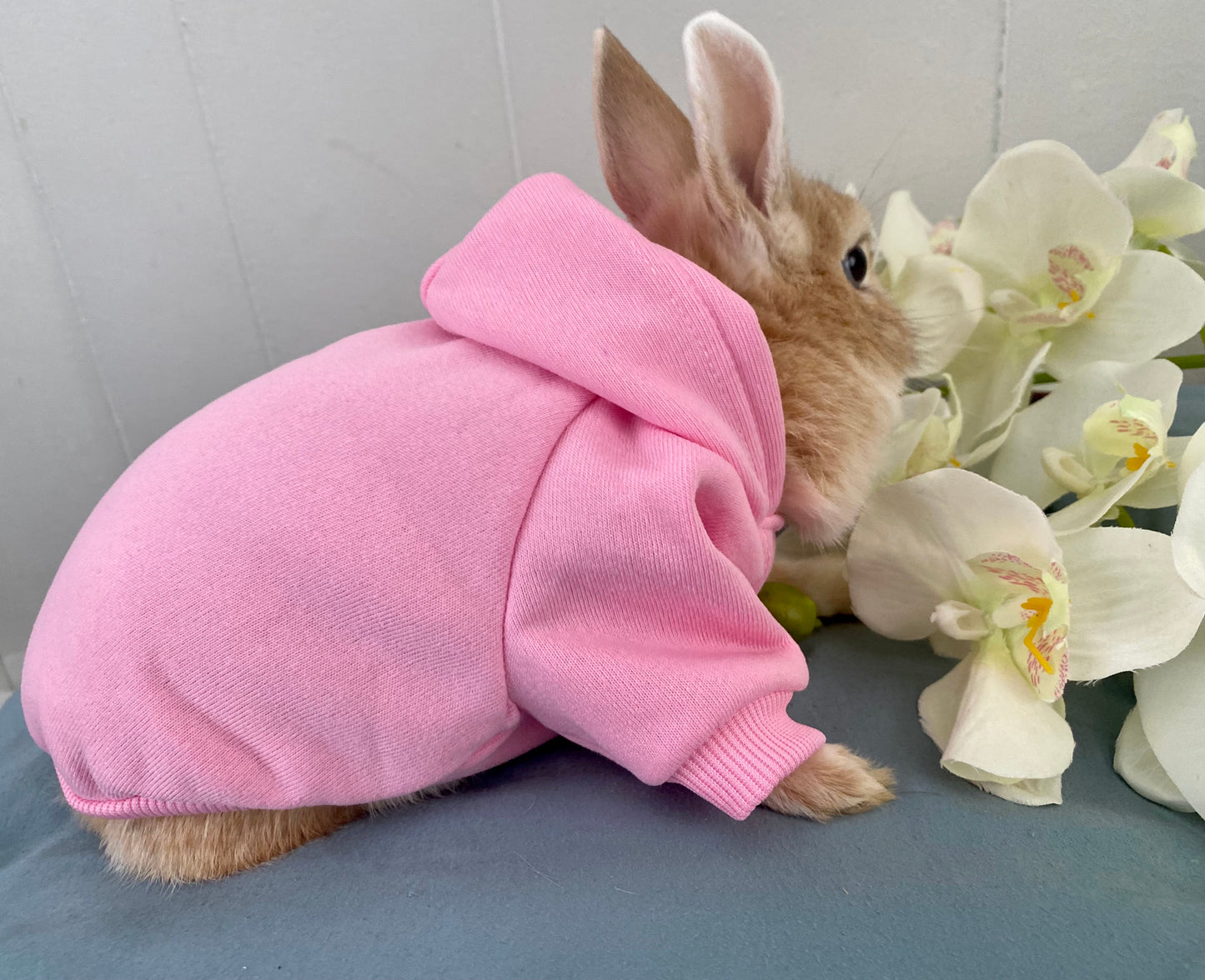 Trendy bunny hoodie